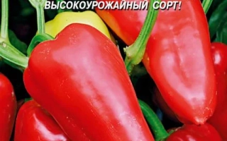 Подарок Лета