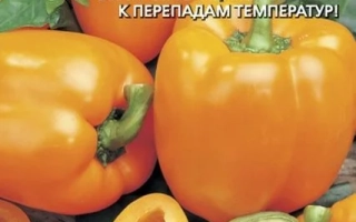 Профессор Авдеев