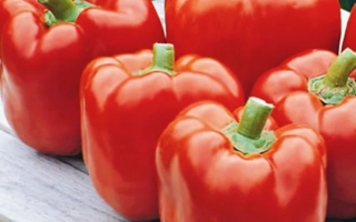 Красний Рицарь F1