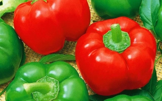 Садовое Кольцо