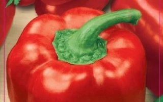 Пакет семян перца сладкого «Самородок» с изображением красного перца