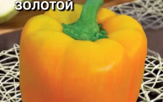 Самородок Золотой