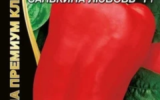 Санькина Любовь