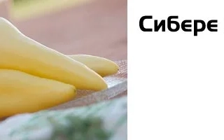 Сибере F1