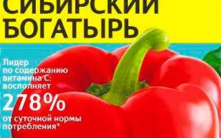 Сибирский Богатырь