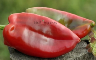 Слоново УВО