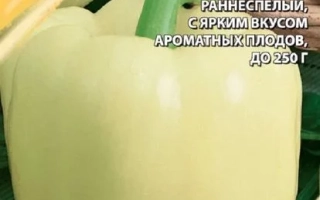 Снежный Барс