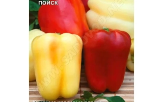 Соломон Агро