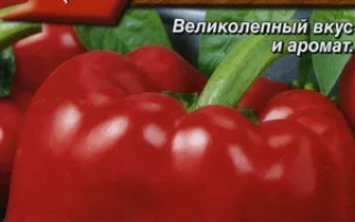 Пакет семян перца Толстячок с изображением красного перца