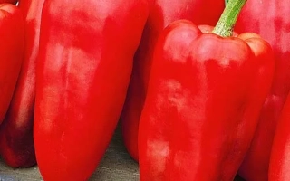 Толстые Щечки