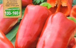 Здоровячок