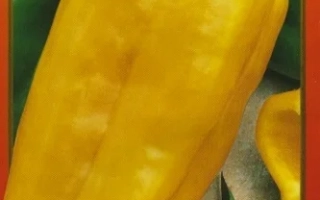 Пакет семян перца ЖЕЛТЫЙ БЫК НК