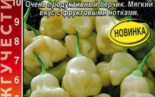 Жгучий Блондин