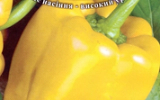 Жовтий дивосвит