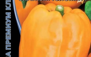 Знатный Толстяк