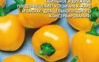 Золотистая Малютка