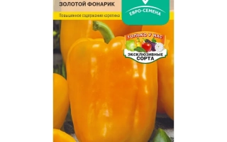 Золотой Фонарик