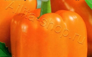 Золотой Поток