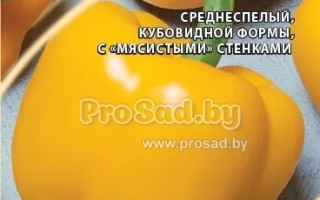 Золотые Купола