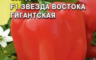 Звезда Востока