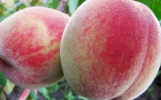 Днепровский