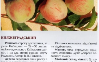 Княжеградський