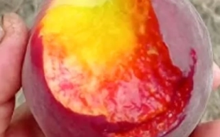 Памяти Бабенкова