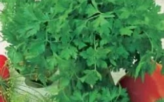 Аппетитная