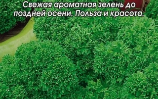 Бабушкина Грядка