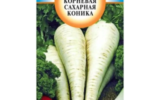 Семена петрушки корневой сахарной Коника