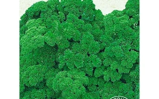 Пакет семян петрушки Кучерявая Триплекс