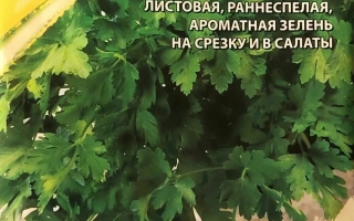 Кухонная Зелень