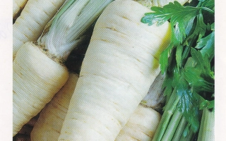 Семена петрушки Любаша на упаковке