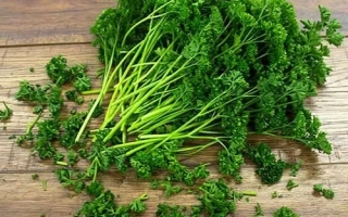 Свежая петрушка на деревянной поверхности - Рина