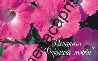 Формула Любви