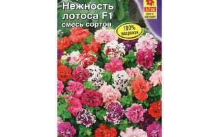 Русский Ситец