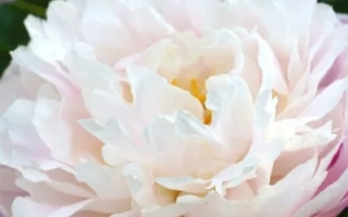 Александра