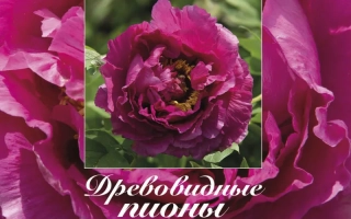 Марианна Успенская