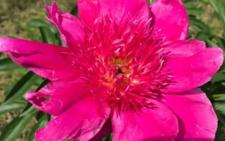 ПАМ'ЯТІ ВЛАДА