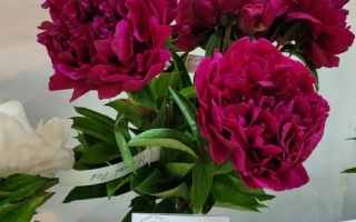 Юбилей Революции