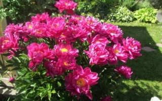 Уральская Фантазия