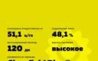 Sunflower seeds variety Accordis SL, medium-maturing, oil-bearing - 8 X 341 KLDM