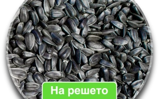 8Н288CPDM / 8Х288КПДМ