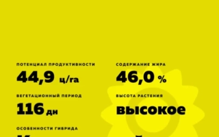 Жовтий пакет насіння соняшнику АББАТ з характеристиками сорту