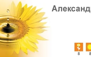Солнечное поле с надписью Александра ПР