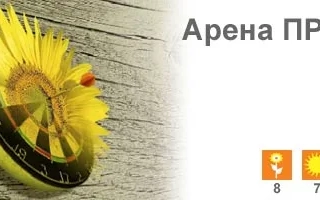 Солнечное поле с подсолнухом и надписью «Арена ПР»