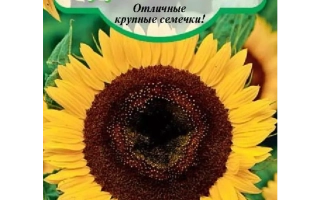 Sunflower seed packet Dobrynia