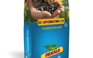 ЄС Ароматик СУ