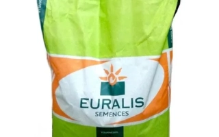 ЄС Дольчевіта