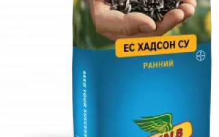 ЄС Хадсон СУ